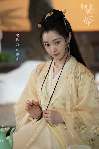 电视剧《赘婿》