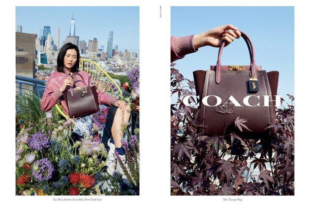 Coach,刘雯 Coach,刘雯