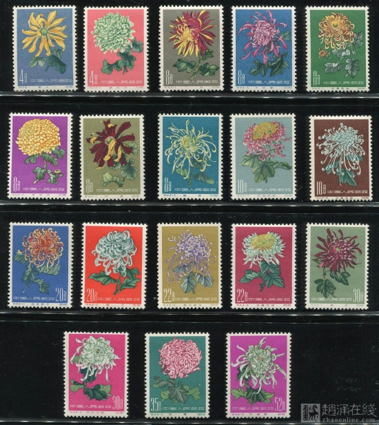 特44菊花新全(全品)