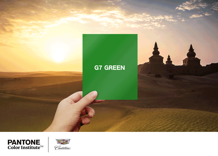 　　“G7 绿”的色彩灵感源自“中国最美公路”G7公路沿线上，胡杨种子勇敢突破土壤束缚那刻独有的绿色