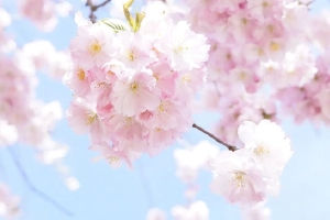 ӭ�Ӵ�����һ���ַ�ʽ ���Ҷ�����ˮ��
