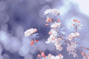 �������Ǹ����պͽ� ֻ��������ˮ��լ�Һͽ�ô��