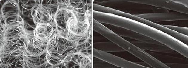 左：显微镜下的SORONA®纤维结构 右：显微镜下的普通涤纶纤维结构