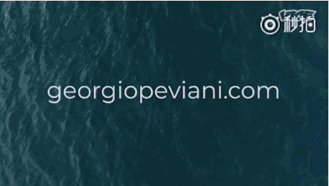 注册了www.georgiopeviani.com的国际顶级域名