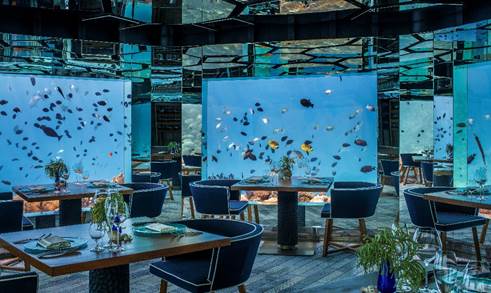 “马尔代夫克哈瓦岛安纳塔拉别墅度假酒店”“SEA”水下餐厅