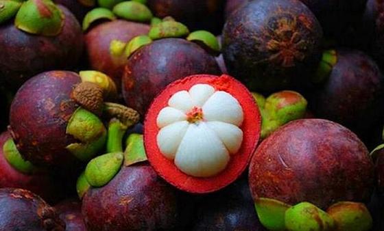 紫色不仅是明年流行色 还是减肥届的新宠|流行色|紫色|减肥_新浪时尚_新浪网