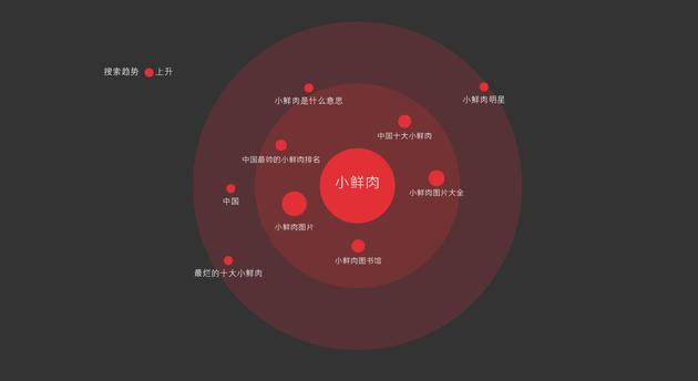 图19 小鲜肉的相关搜索关键词 数据来源百度指数