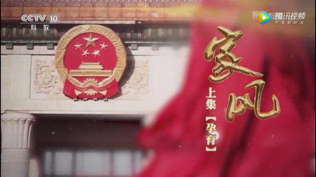 《家风》上集:孕育