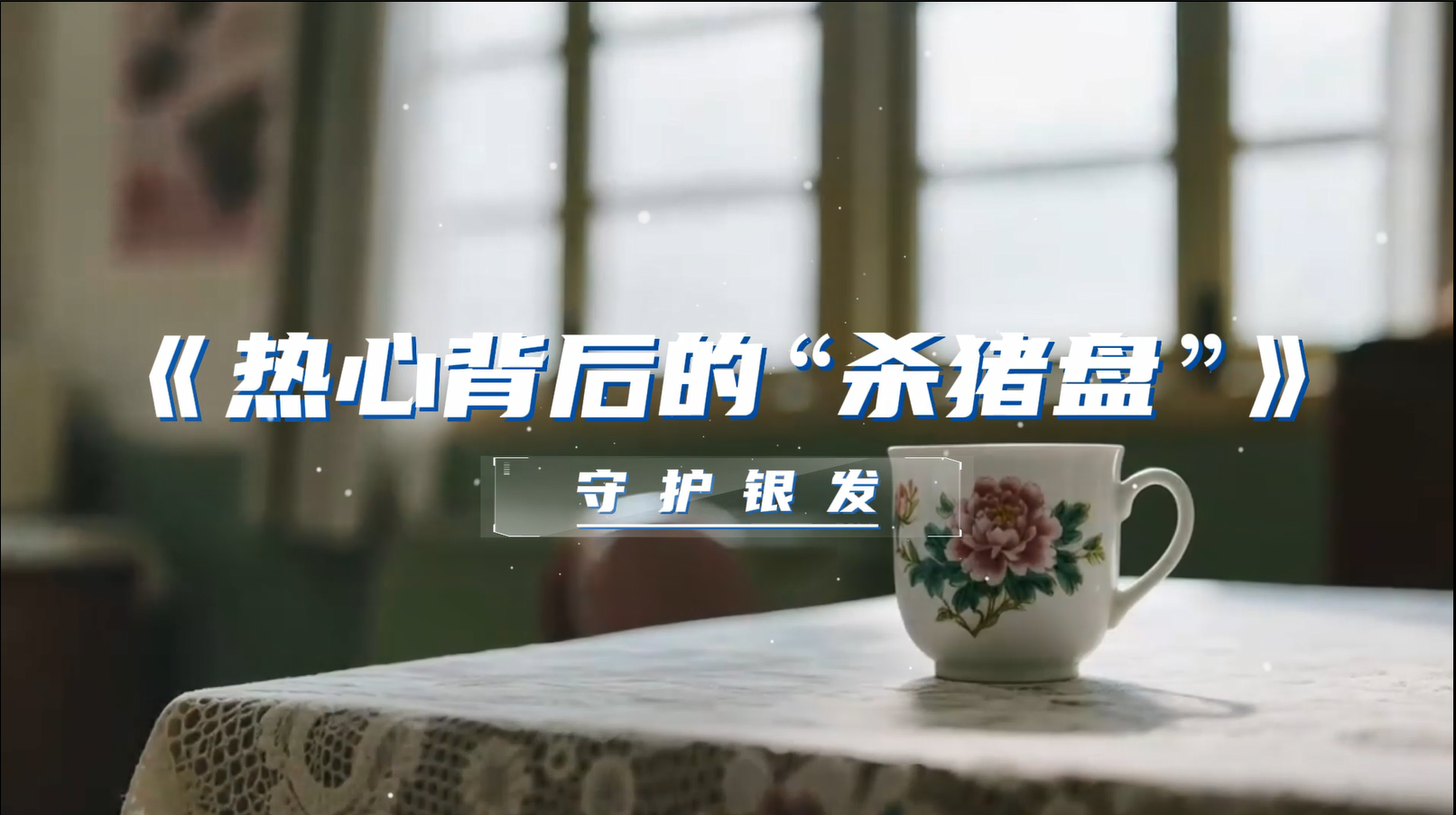 《守护银发》第4集：热心背后的“杀猪盘”
