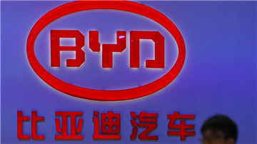 比亚迪等面临成本与规模困局