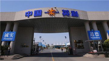 英利连亏五年 过度扩张陷困局