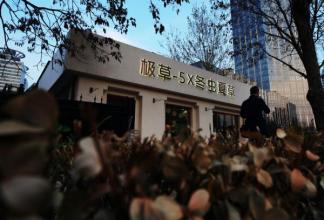 青海春天虫草新品过审存疑