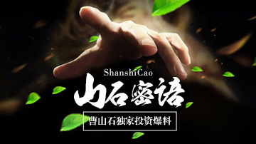 曹山石独家揭秘上市公司底牌