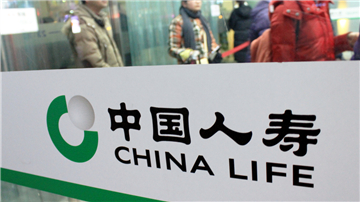 中国人寿拒不履行生效法律文书