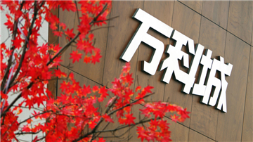 万科捂盘惜售被通报 称监管部门误解