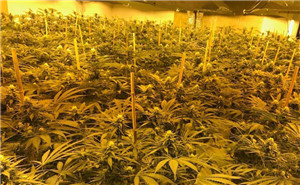 商界春晚 马云 柳传志 雷军等献艺
