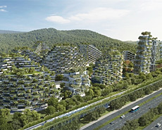 中国将建垂直森林城战胜雾霾