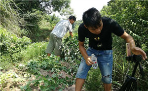 白宫对美联航暴力赶客事件做出回应