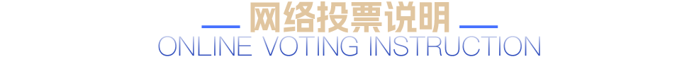 網絡投票說明