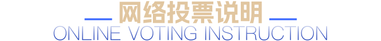 网络投票说明