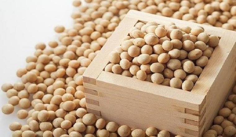 受南美天气担忧推动，美国大豆期货触及近七年高点 Soybeans_Sina.com