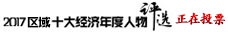  2017十大经济年度人物