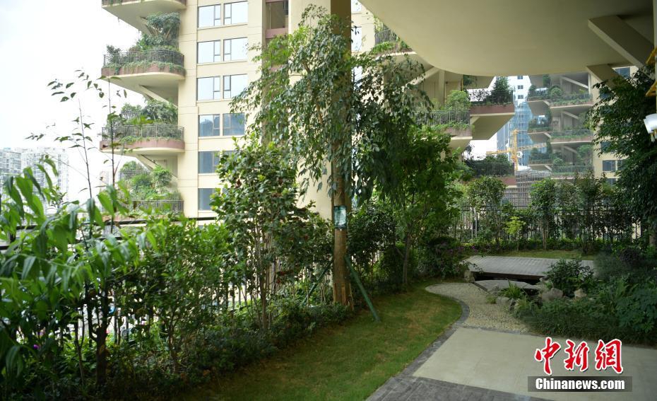 成都"垂直森林"住宅小区郁郁葱葱