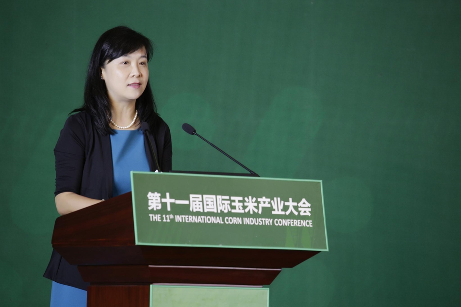 第十一届国际玉米产业大会第十一届国际玉米产业大会现场高清图