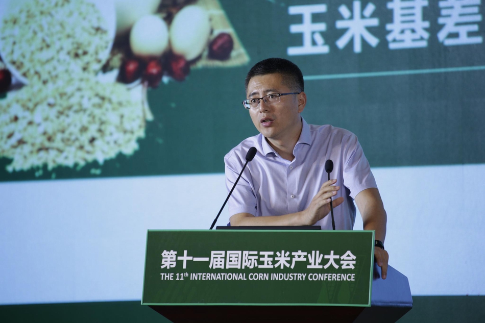 第十一届国际玉米产业大会第十一届国际玉米产业大会现场高清图