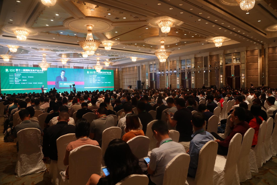 第十一届国际玉米产业大会第十一届国际玉米产业大会现场高清图