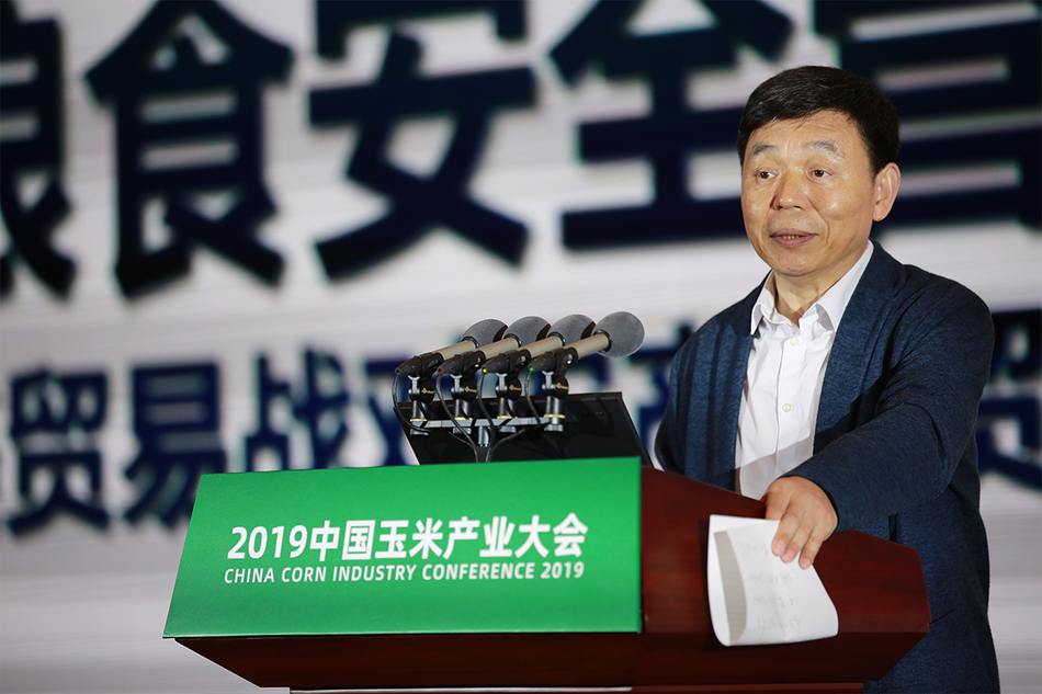 同济大学经济与管理学院教授 程国强博士