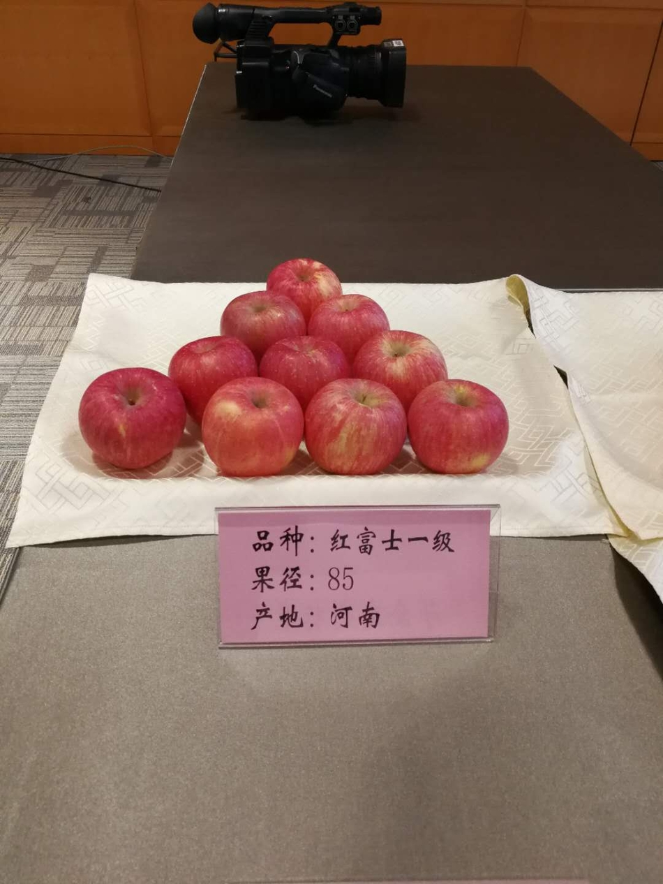 符合苹果期货交割标准的苹果 产地河南