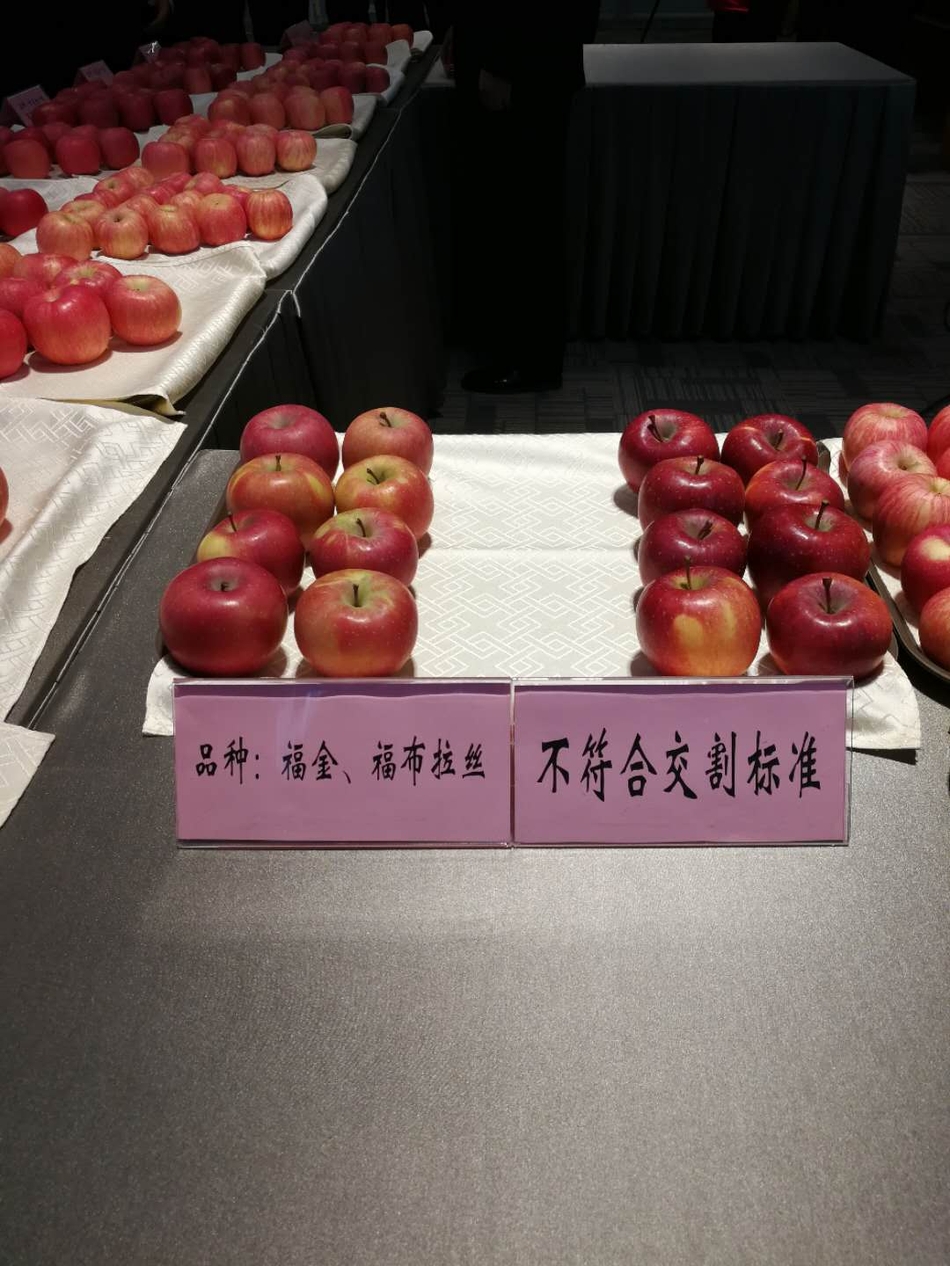 不符合苹果期货交割标准的苹果 品种：福金、福布拉斯