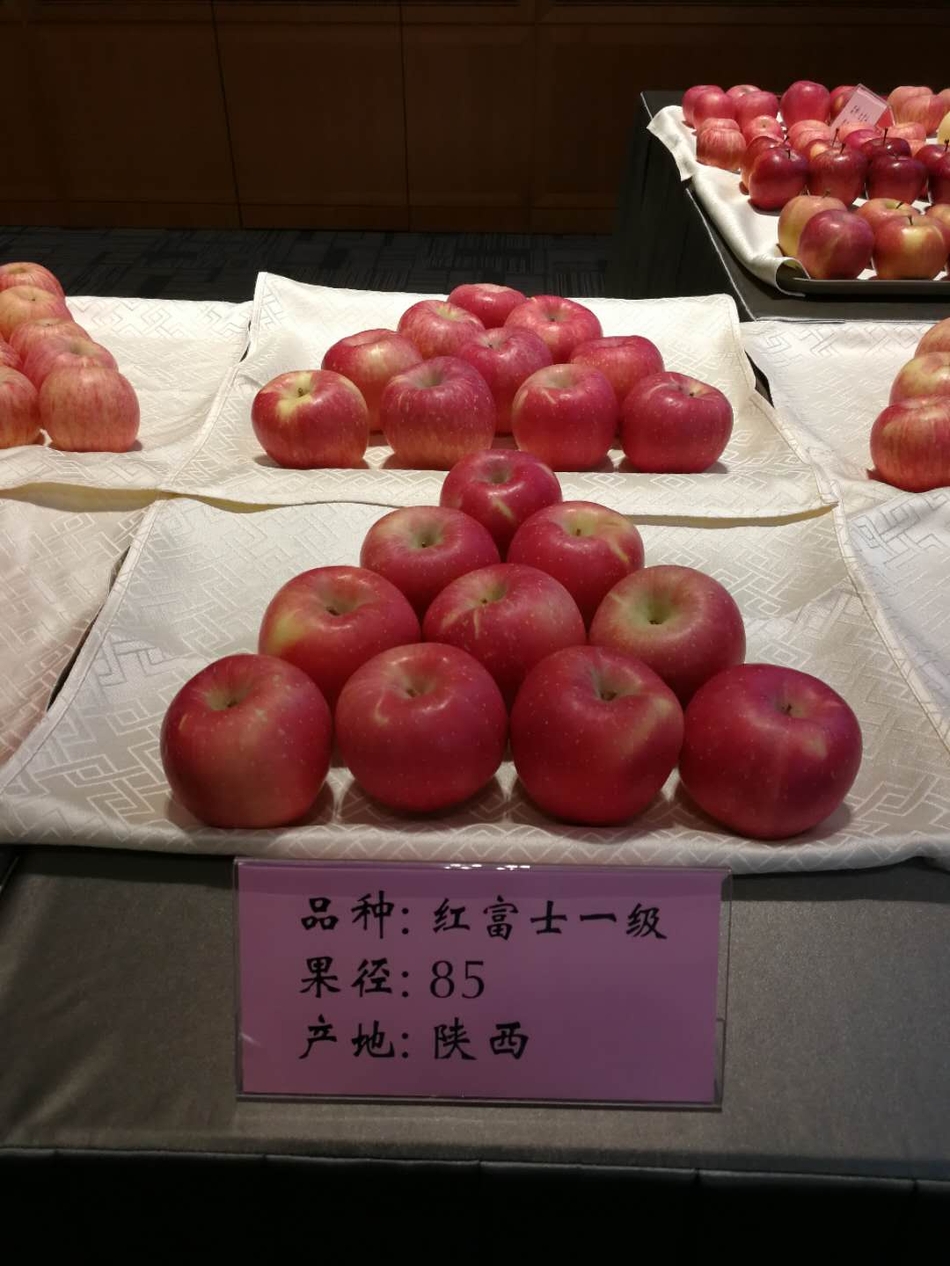 符合苹果期货交割标准的苹果 产地陕西