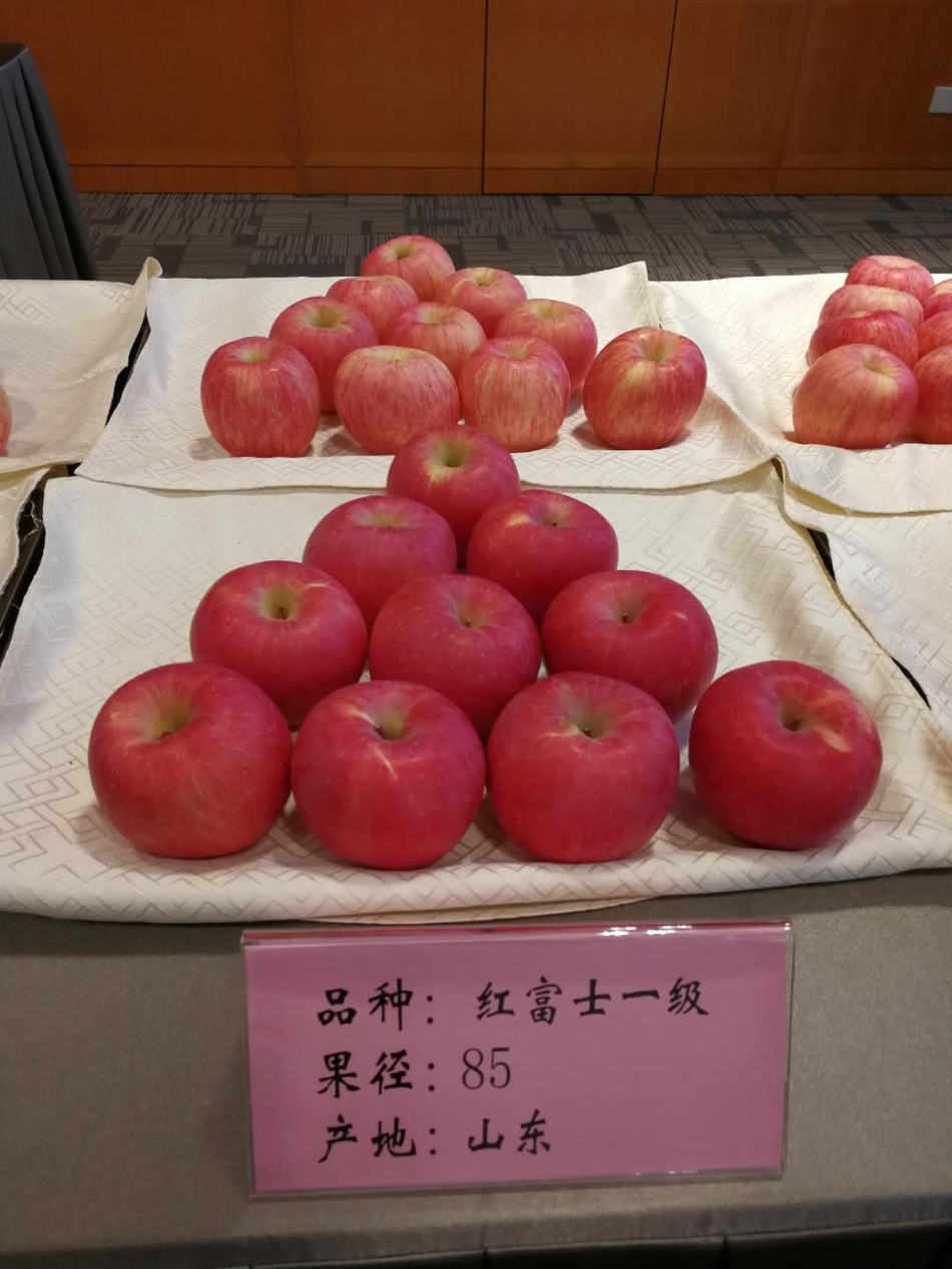 符合苹果期货交割标准的苹果 产地山东