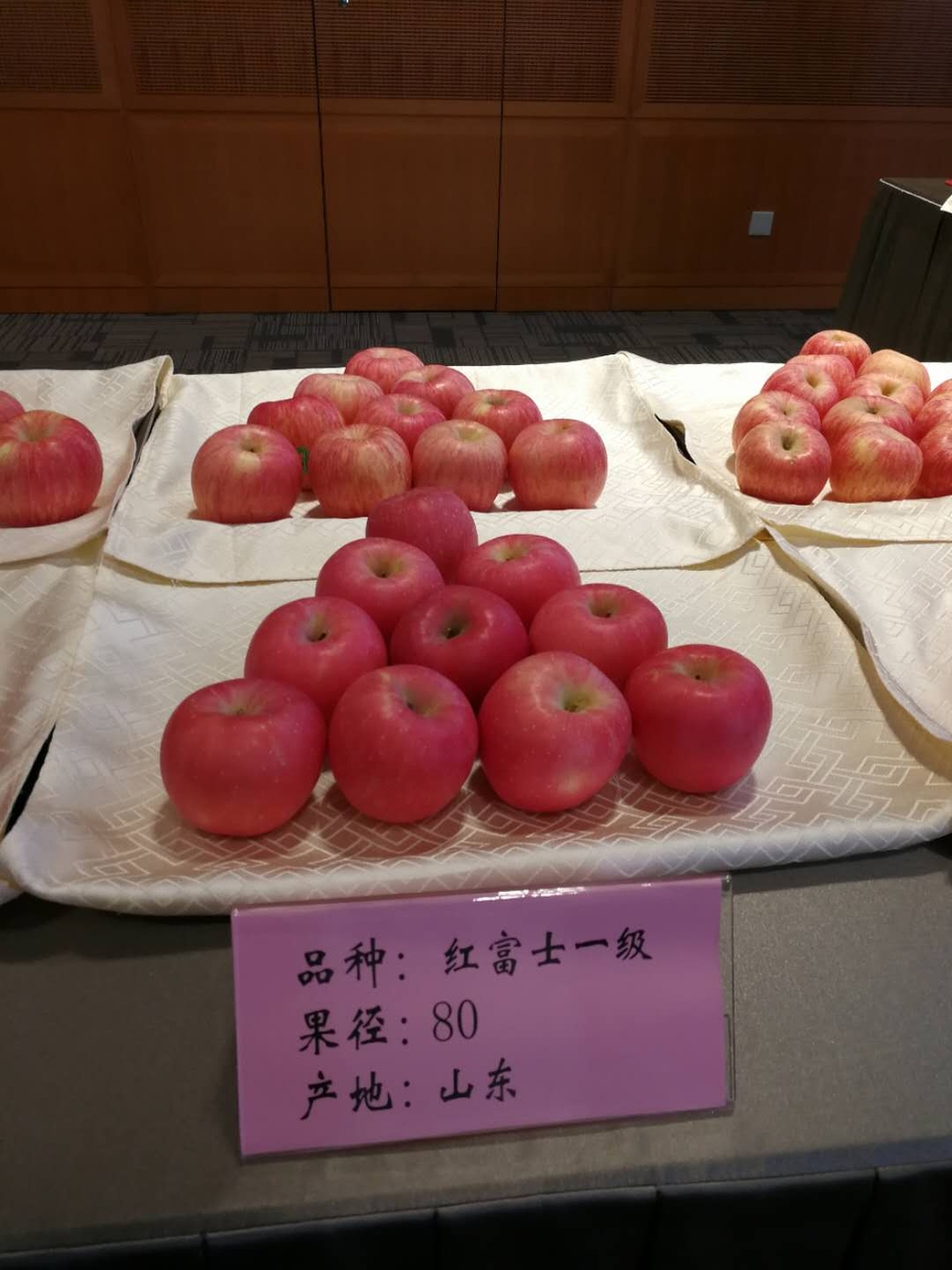 符合苹果期货交割标准的苹果 产地山东