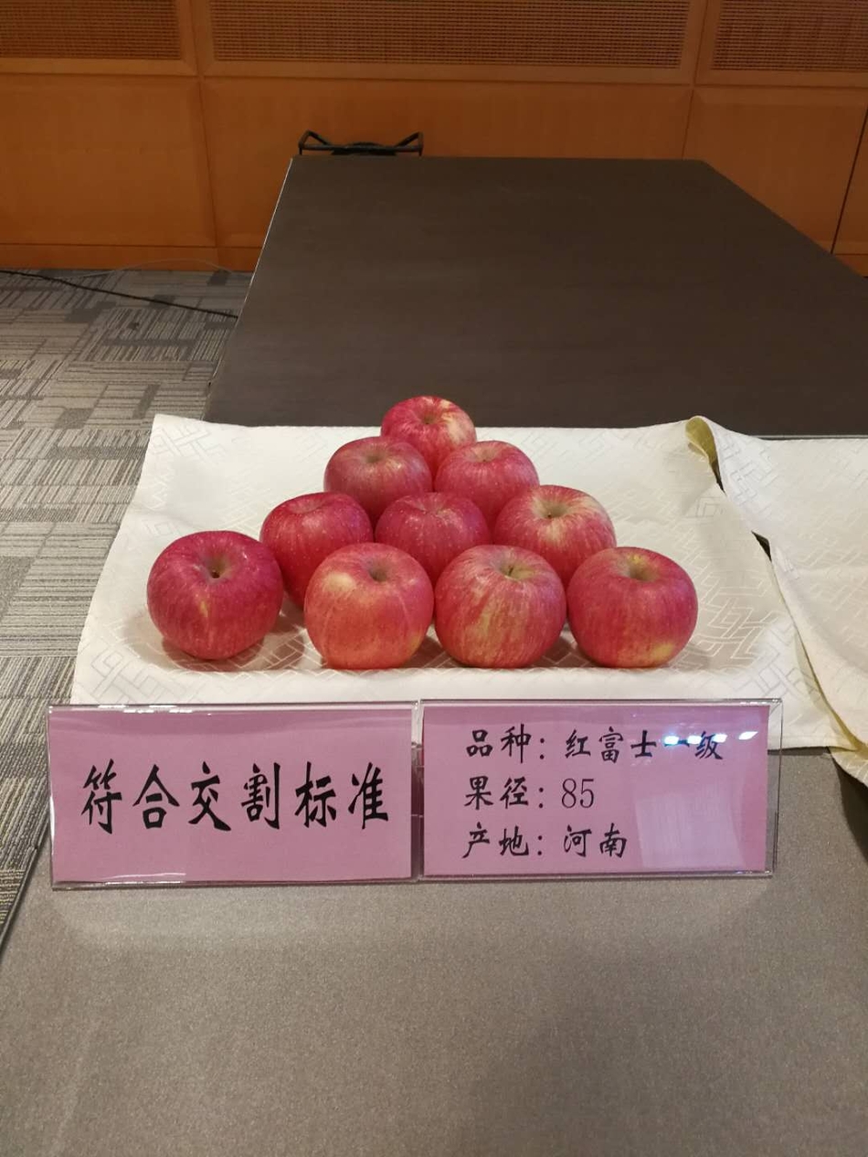 符合苹果期货交割标准的苹果 产地河南