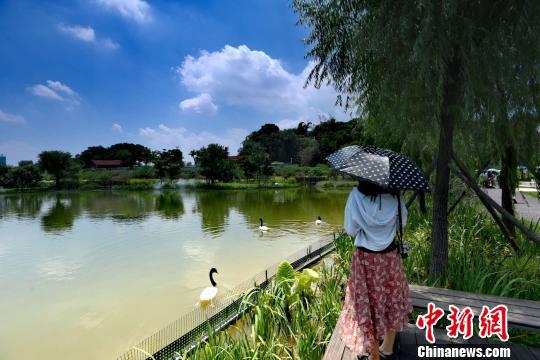 福建漳州的南山生态文化园一景。　正午　摄