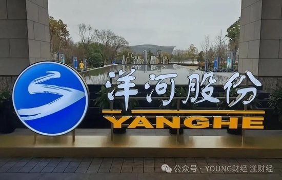 洋河增长困境,谁最着急? 第1张 洋河增长困境,谁最着急? 第1张
