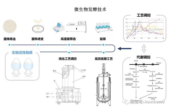 大奖87pt8com,格纹今年太火啦,这么穿有新意