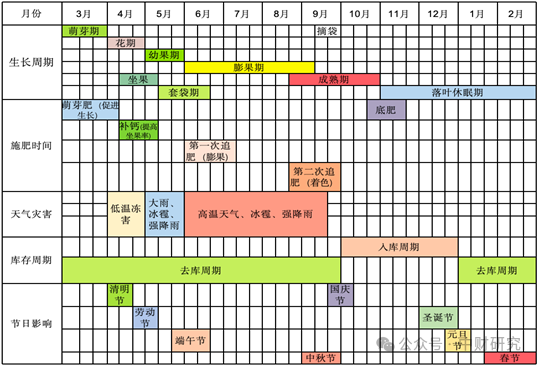 【中财研究】2025年新季苹果坐果调研纪实(西部部分产区篇) 第4张 【中财研究】2025年新季苹果坐果调研纪实(西部部分产区篇) 第4张
