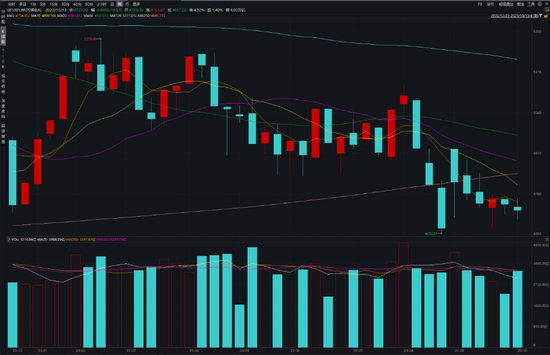 撑死胆大的,饿死胆小的