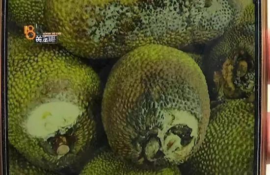 新华社揭秘烂水果去哪了 知道答案后整个人都不好了