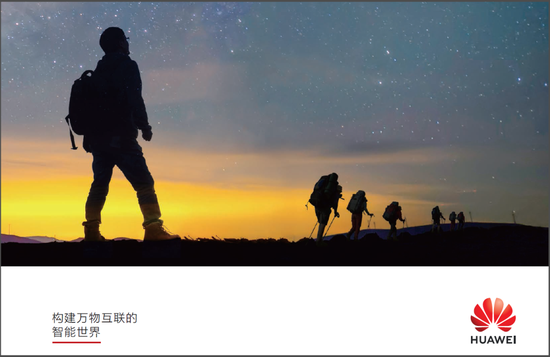 图片来源:华为2020年度财报