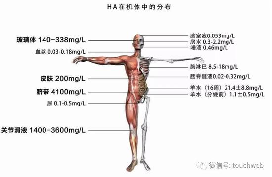 赌场代言 退出伊朗核协议之后,特朗普的下一个退出目标是北约?