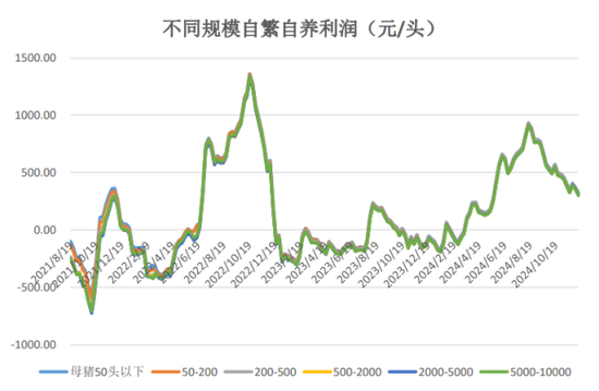 生猪和鸡蛋期货市场分析:供需格局与价格走势