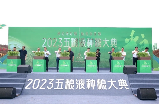 守护“五诀”之首,五粮液以“和美种植”赋能“大国浓香”