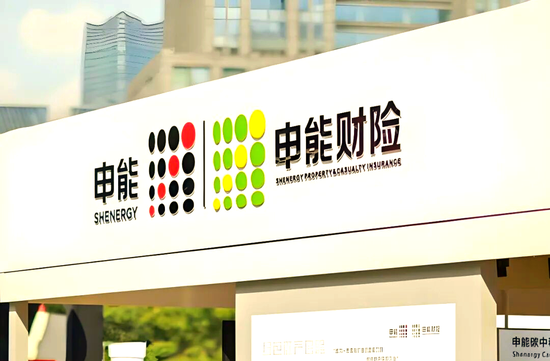 申能财险:百亿接盘的黑马,为何边盈利边失速? 申能财险:百亿接盘的黑马,为何边盈利边失速?
