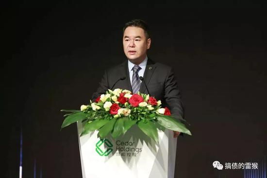 雪松控股董事局主席张劲
