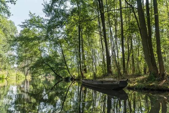 这儿就是勃兰登堡,有树有水